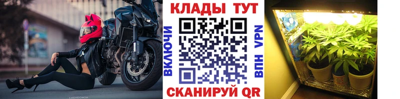 Продажа наркотиков Вологда COCAIN  СОЛЬ  Галлюциногенные грибы  МЕГА   Амфетамин  Каннабис 