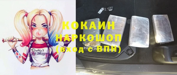 мет Алексин
