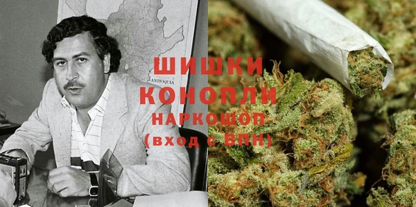 мет Алексин