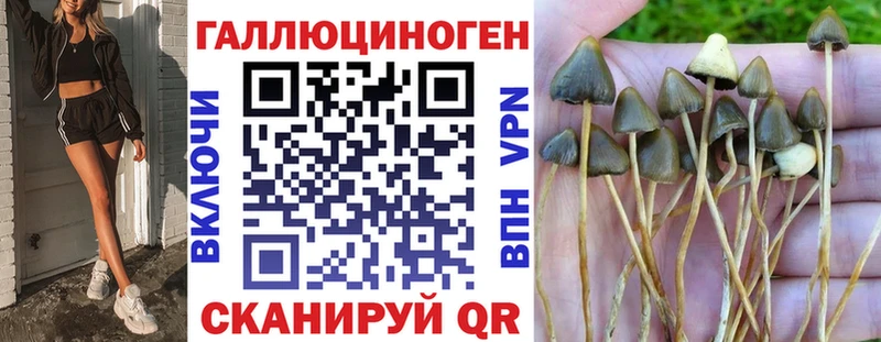 Псилоцибиновые грибы GOLDEN TEACHER  Вологда 